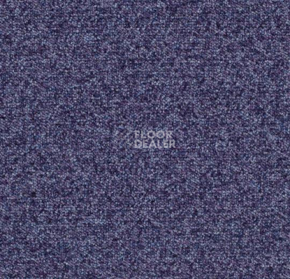 Ковровая плитка Tessera Basis 380 Blackcurrant фото 1 | FLOORDEALER